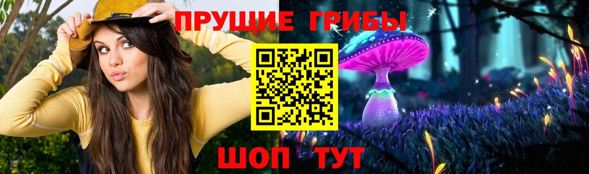 Галлюциногенные грибы GOLDEN TEACHER Хабаровск