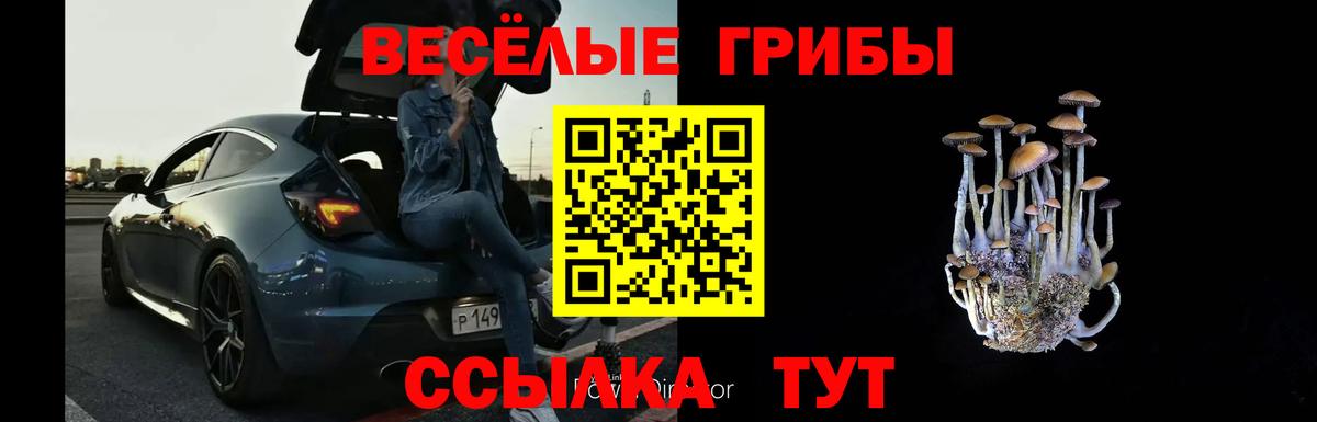 Хабаровск  Псилоцибиновые грибы Psilocybine cubensis  Вход с VPN 
